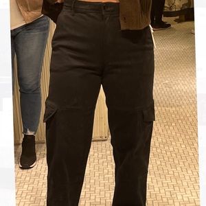 Aritzia cargo pants Wilfred